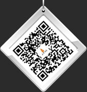 手機(jī)端二維碼